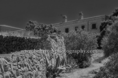 "Puig de Randa", Tafelberg auf Mallorca, 22.06.2016 (Photo: Christian Behring)
