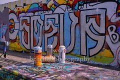 Sprühdosen, mit Graffitti an der Mauer zum Friedrich-Ludwig-Jahn-Sprtpark,  Mauerpark, zwischen Gleimstraße und Eberswalder Straße, "PRENZLAUER BERG", Berlin, 04.06.2020