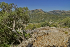 "Pollenca", Puig de Santa Maria, Berg suedlich von Pollenca, einer Kleinstadt im Nordwesten von Mallorca, 23.06.2016 (Photo: Christian Behring)
